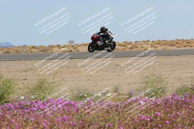 media/Mar-12-2023-SoCal Trackdays (Sun) [[d4c8249724]]/Turn 15 Inside Bloom (130pm)/